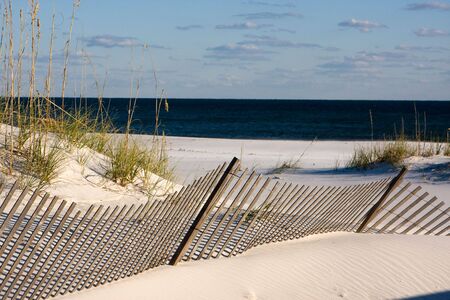 Sand fences along the coastline use the power of the wind to built up the dunes and promote the growth of sea oats along the Gulf Coast around Pensacola, Florida. の写真素材