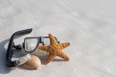 Mask, starfish and a shell lay on a white sand beach. Room for copy on top and right.の写真素材