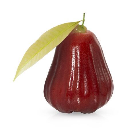 whole rose apple or chomphu with green leaf isolated on white backgroundの写真素材
