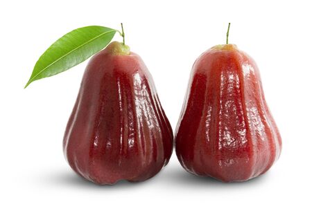 Rose apples or chomphu isolated on whiteの写真素材