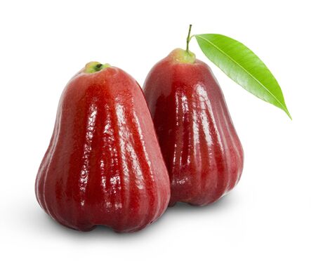 Rose apples or chomphu isolated on white withの写真素材