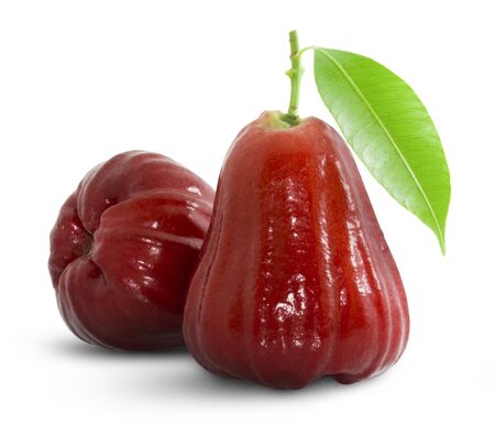 Rose apples or chomphu isolated on white withの写真素材