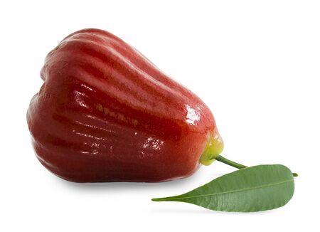 Rose apples or chomphu isolated on white withの写真素材