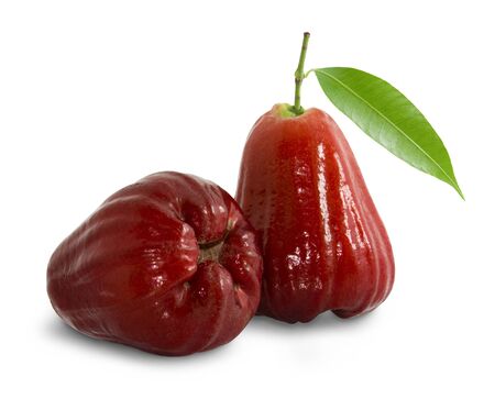 Rose apples or chomphu isolated on white withの写真素材