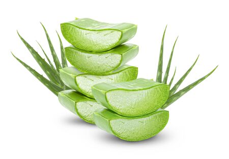 Aloe vera fresh leaves with slices on white background. full depth of field の写真素材