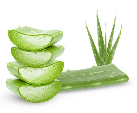 Aloe vera fresh leaves with slices on white background. full depth of field の写真素材