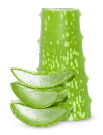 Aloe vera leaves isolated on white background の写真素材