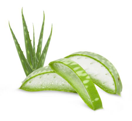 Aloe vera leaves isolated on white background の写真素材