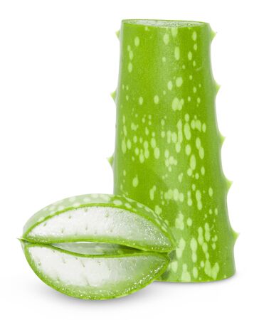 Aloe vera leaves isolated on white backgroundの写真素材