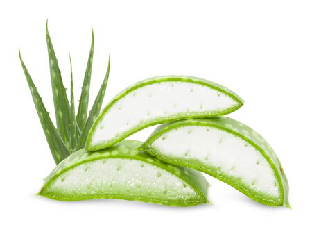 Aloe vera leaves isolated on white background の写真素材