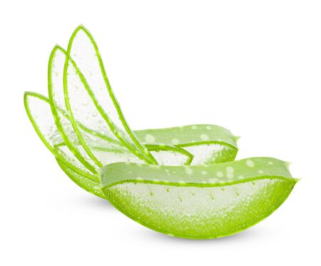 Aloe vera leaves isolated on white background の写真素材