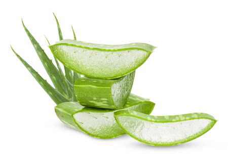 Aloe vera leaves isolated on white background の写真素材