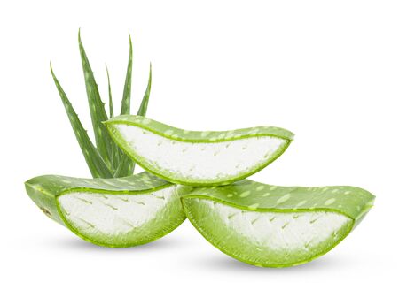 Aloe vera leaves isolated on white background の写真素材