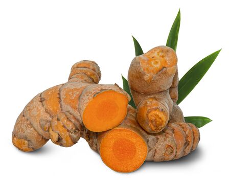 Close up Turmeric (Curcuma longa Linn) rhizome isolated on white backgroundの写真素材