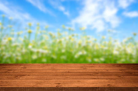 Wood Table with Blurred Nature Backgroundの写真素材