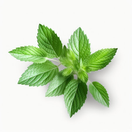 Fresh mint green leaves from organic farm isolated on white background Generative AI Illustration.の素材