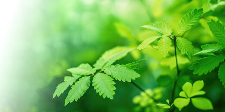 Background with nature environment with green leaves and blurred effect Generative AI Illustration.の素材