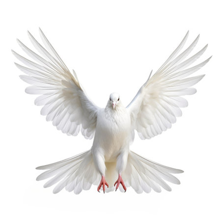 Holy Spirit white dove with open wings in white background Generative AI Illustration.の素材