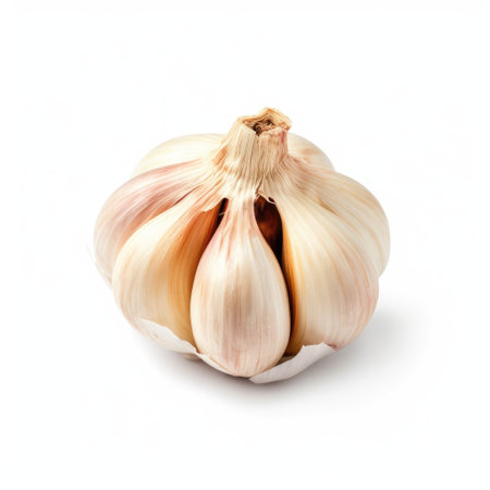 Garlic head ingredient for cooking isolated with a white background Generative AI Illustration.の素材