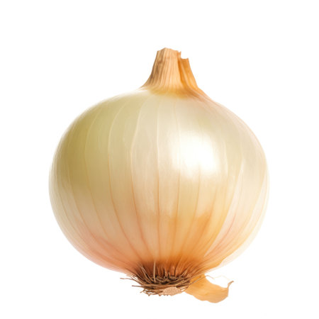 Fresh onion isolated with a white background Generative AI Illustration.の素材