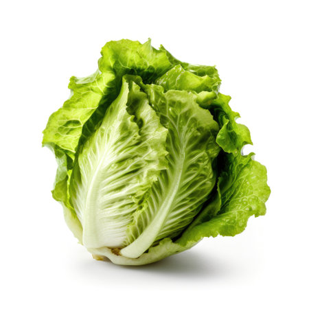Fresh green lettuce ingredient for cooking isolated with a white background Generative AI Illustration.の素材