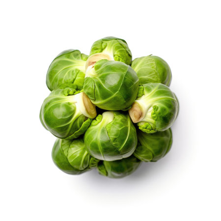 Several fresh Brussels sprouts together ingredients for food on a white background Generative AI Illustration.の素材