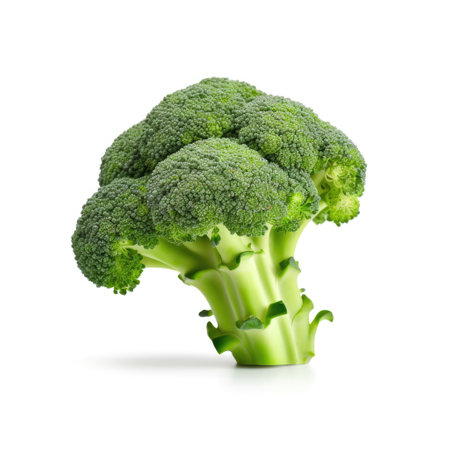 Fresh raw broccoli ingredient for cooking recipe cuisine on white background Generative AI Illustration.の素材