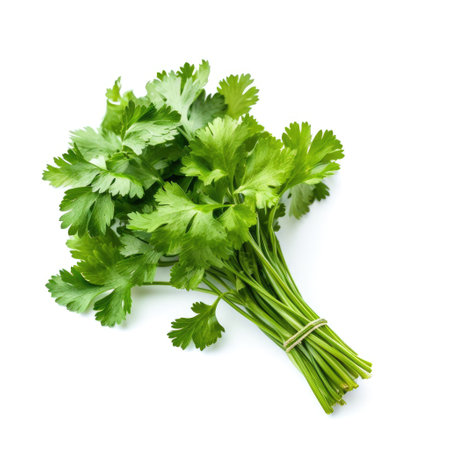 Bunch of fresh organic raw coriander ingredient for cooking with white background Generative AI Illustration.の素材