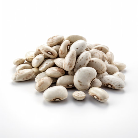 White beans ingredients for vegan cooking recipe with white background Generative AI Illustration.の素材