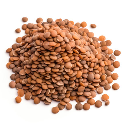Pile of brown lentils vegetable protein ingredient for food recipes Generative AI Illustration.の素材