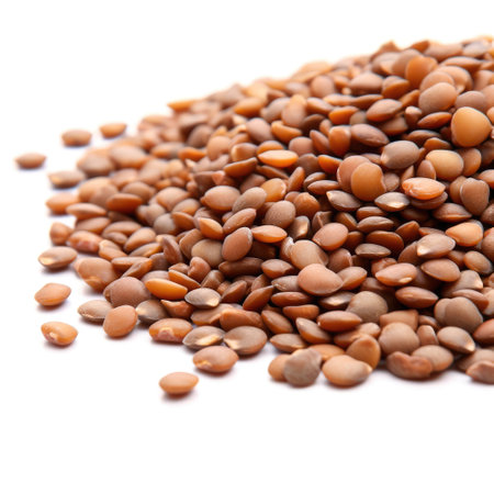 Brown lentils vegetable protein ingredient for food recipes Generative AI Illustration.の素材