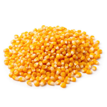 Organic raw maize corn grain pile with white background isolated Generative AI Illustration.の素材