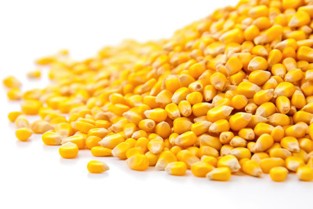 Organic raw maize corn grain pile with white background Generative AI Illustration.の素材