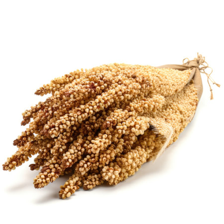 Ripe harvest of quinoa grain sauce on white background Generative AI Illustration.の素材