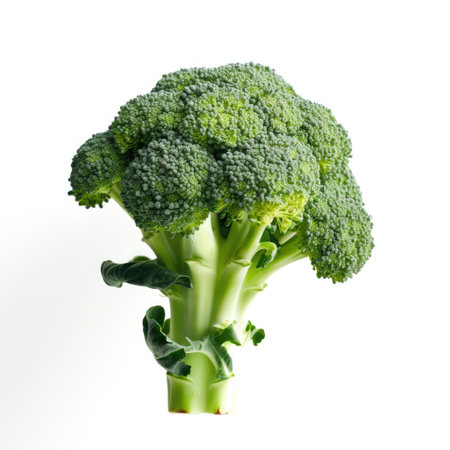 Fresh raw broccoli ingredient for cooking recipe chef Generative AI Illustration.の素材