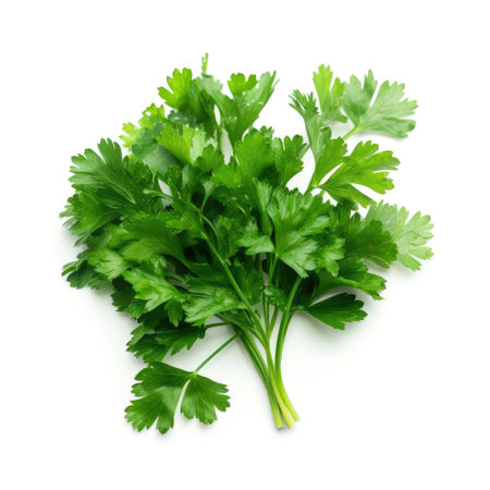 Bunch of a raw organic fresh parsley ingredient for cooking with white background Generative AI Illustration.の素材