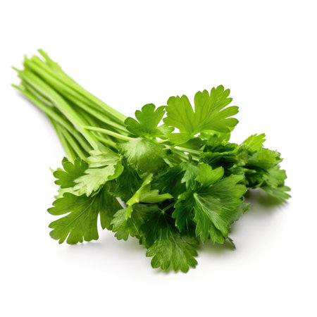 Bunch of a fresh organic parsley ingredient for cooking with white background Generative AI Illustration.の素材
