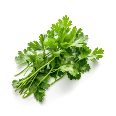 Bunch of a fresh raw organic parsley ingredient for cooking with white background Generative AI Illustration.の素材