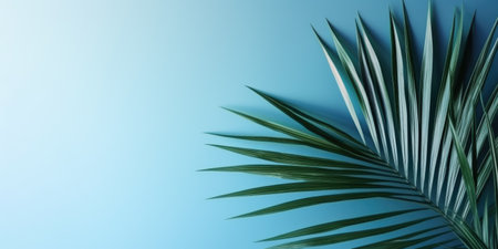 Minimal abstract tropical background with palm leave and blurred blue wall Generative AI Illustration.の素材