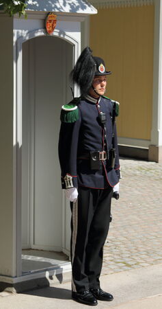 Soldier guarding the Royal Palace in Oslo, Norway のeditorial素材