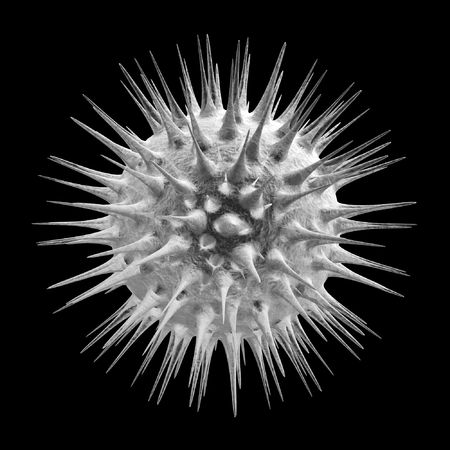 virus cell