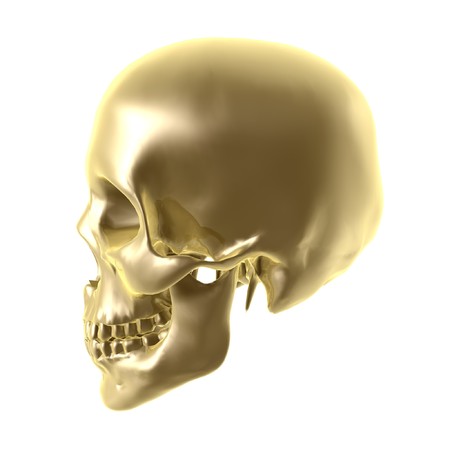 shiny golden skull isolated on white backgroundの写真素材