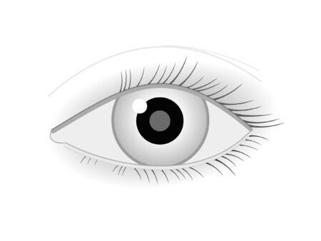  eye with eyelash isolated on white backgroundのイラスト素材