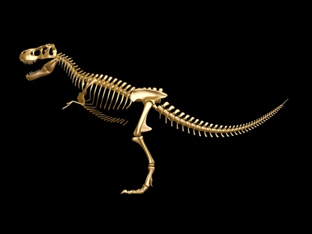 golden  tyrannosaurus Dinosaur skeleton isolated on dark backgroundの写真素材