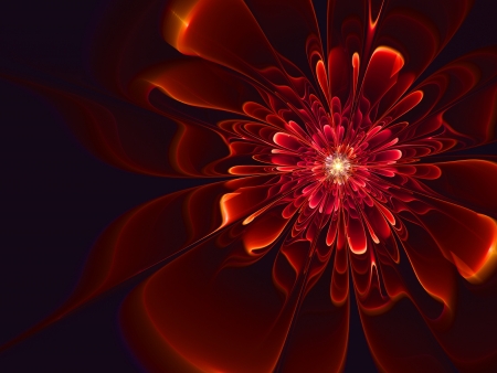 colorful flower blooms pattern on dark backgroundの写真素材