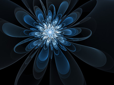 blue chrysanthemum flower rays on dark backgroundの写真素材