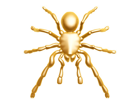 golden spider crawl isolated on white backgroundの写真素材