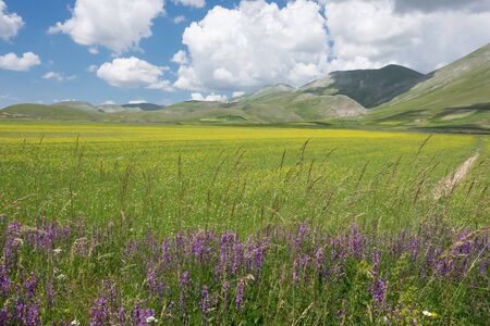Castelluccio di Norcia in the Sibillini Parkの写真素材