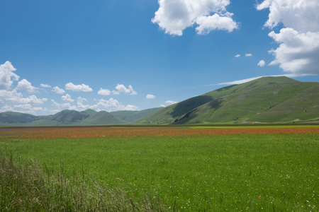Castelluccio di Norcia in the Sibillini Parkの写真素材