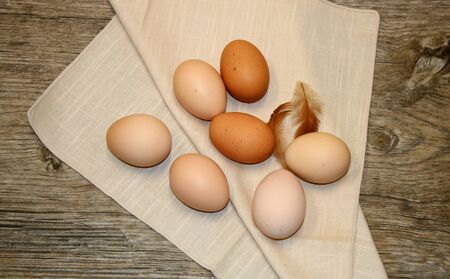 Seven farm fresh eggs lying on a beige cloth napkin with 2 small fluffy chicken feathers. All are arranged on a aged wooden table.の写真素材
